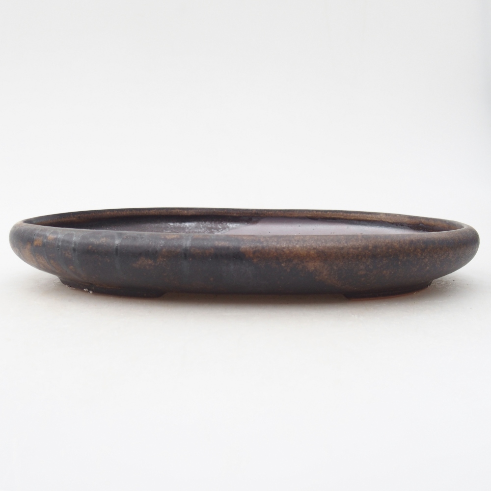 Bol à bonsaï en céramique 22,5 x 16,5 x 3 cm, brun