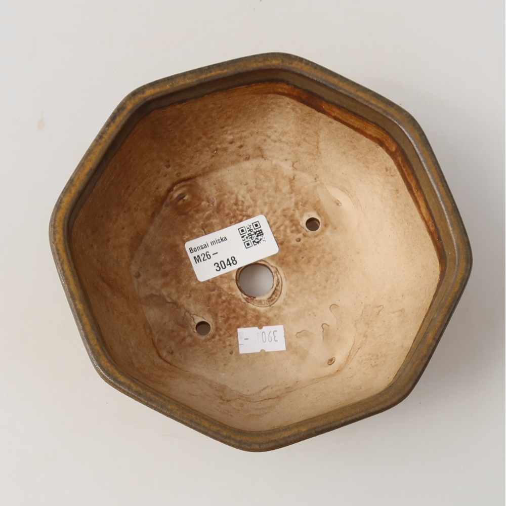 Pot à bonsaï en céramique 17 x 16 x 6,5 cm, couleur marron