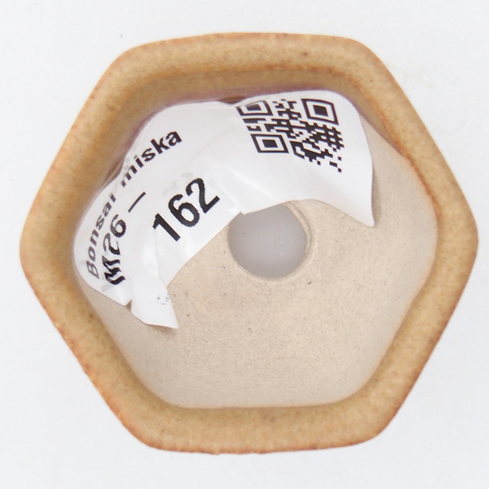 Mini bol bonsaï 4 x 3,5 x 3 cm, brun