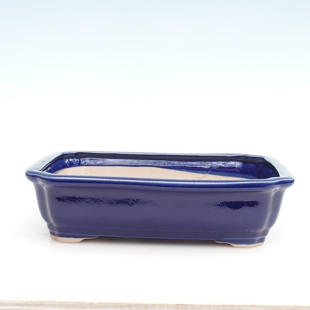 Bol Bonsaï + soucoupe H07 - 30 x 20,5 x 8 cm.