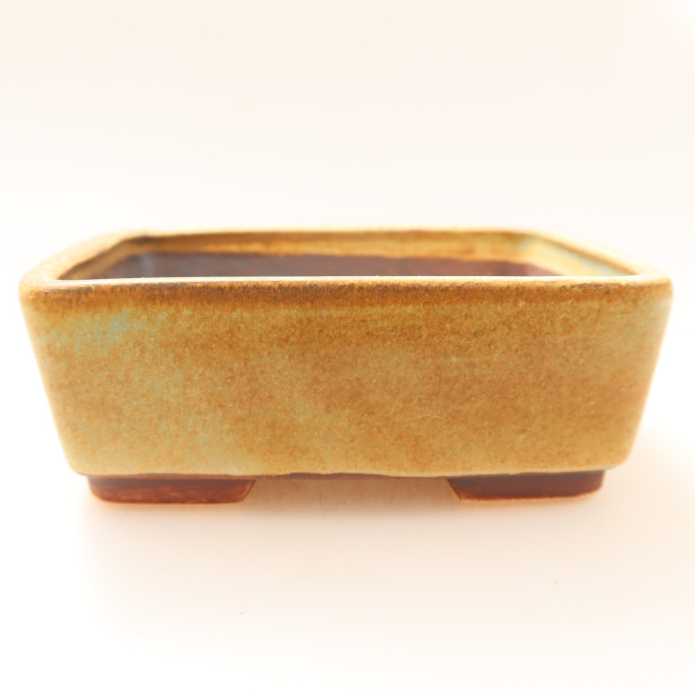Pot à bonsaï en céramique 10 x 8 x 3,5 cm, couleur verte