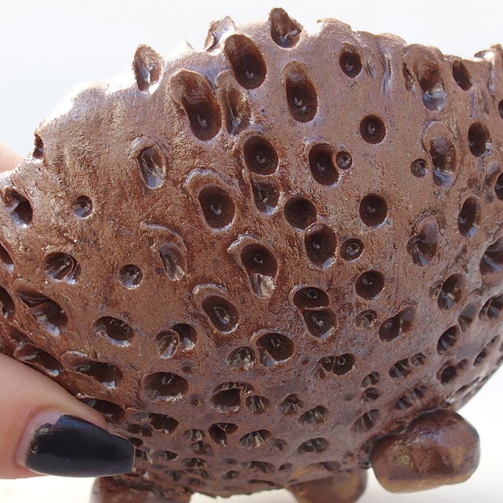 Coquille en céramique 12,5 x 12,5 x 9 cm , couleur marron