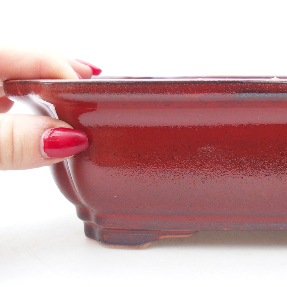 Bol à bonsaï en céramique 28 x 22 x 7 cm, couleur rouge