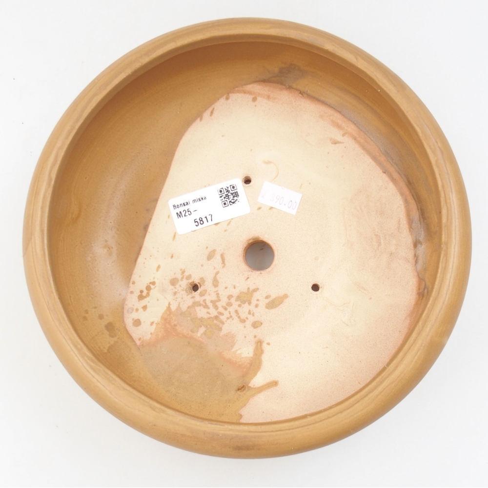 Bol à bonsaï en céramique 21 x 21 x 7,5 cm, couleur beige