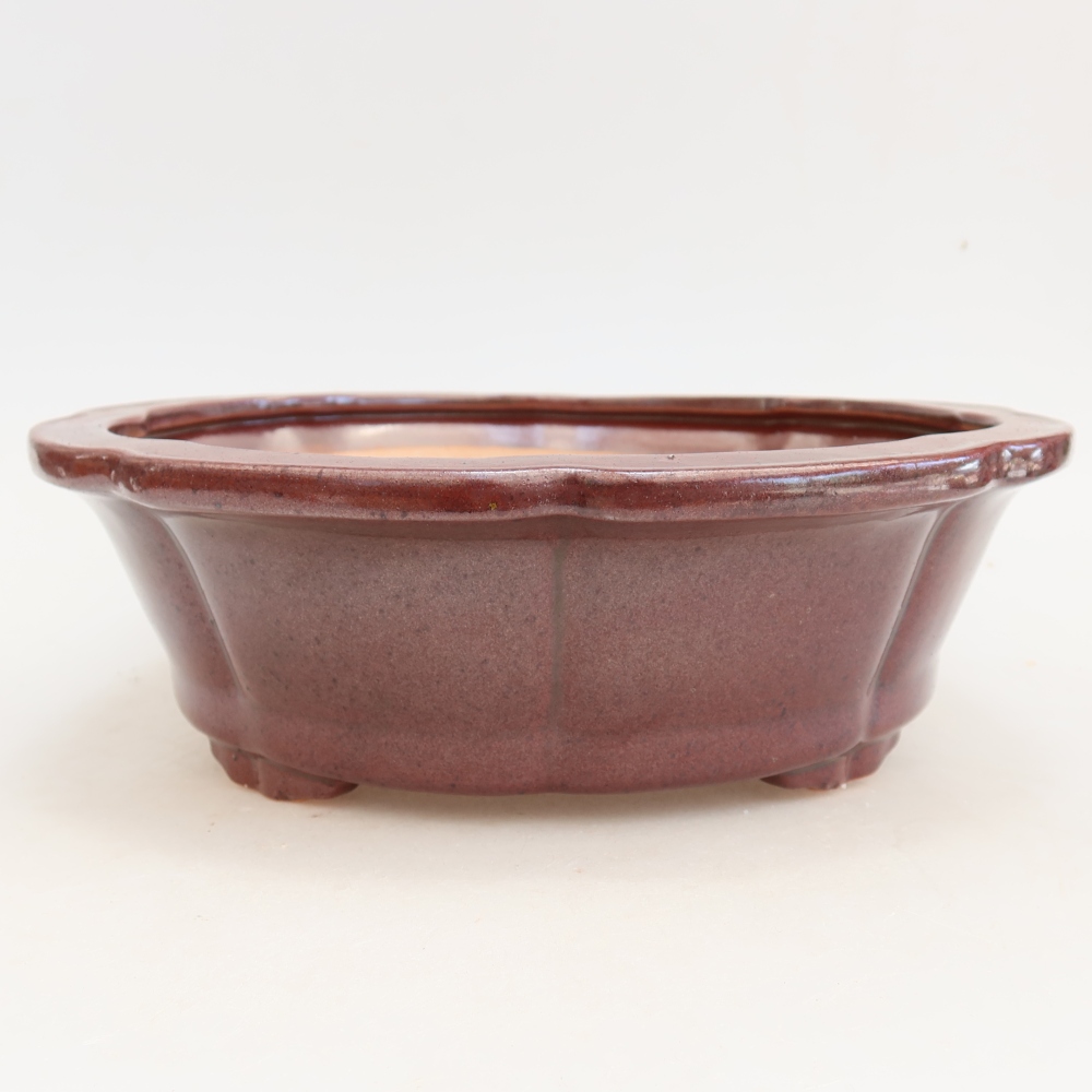 Bol à bonsaï en céramique 26 x 26 x 8 cm, bordeaux