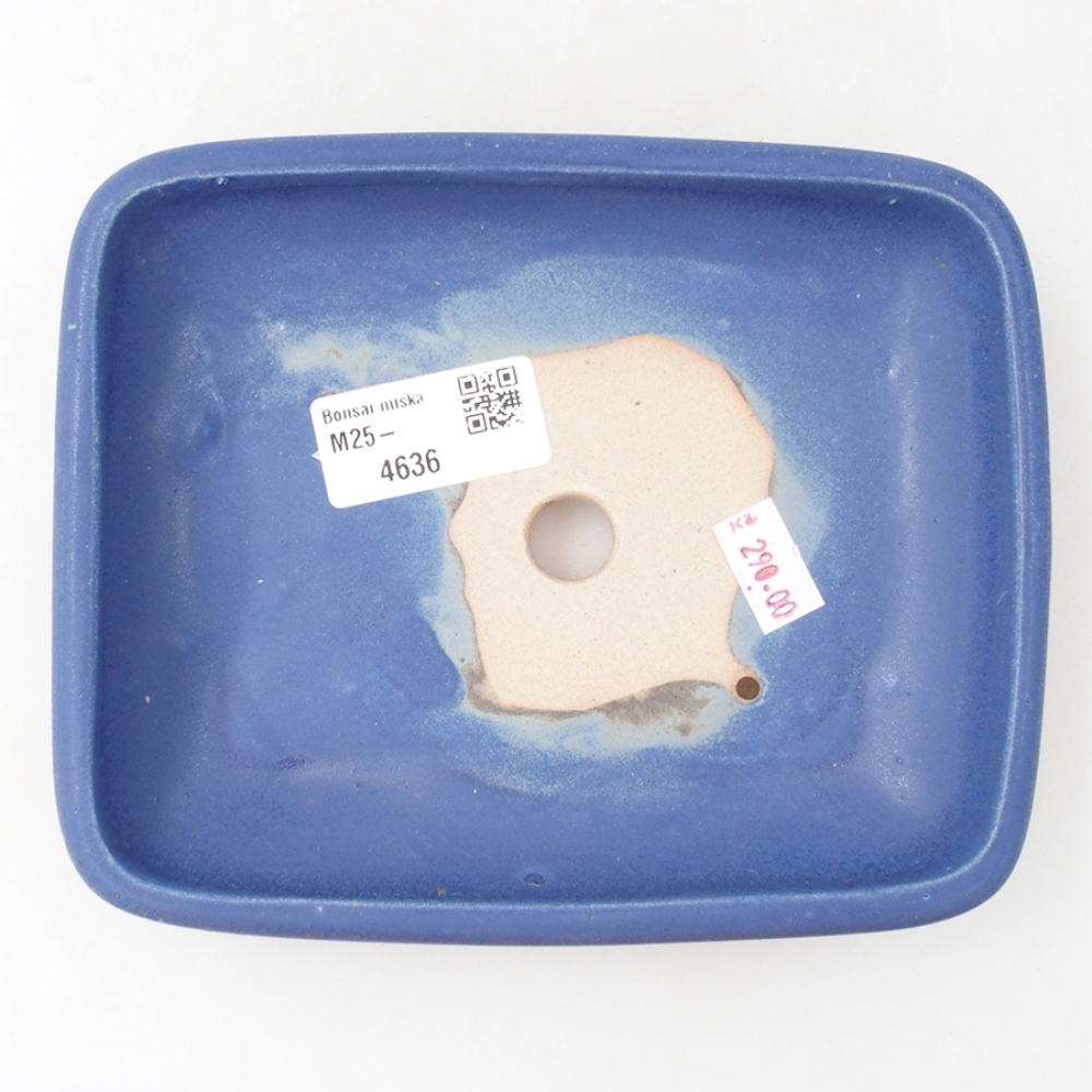 Bol à bonsaï en céramique 17 x 13,5 x 3,5 cm, couleur bleu