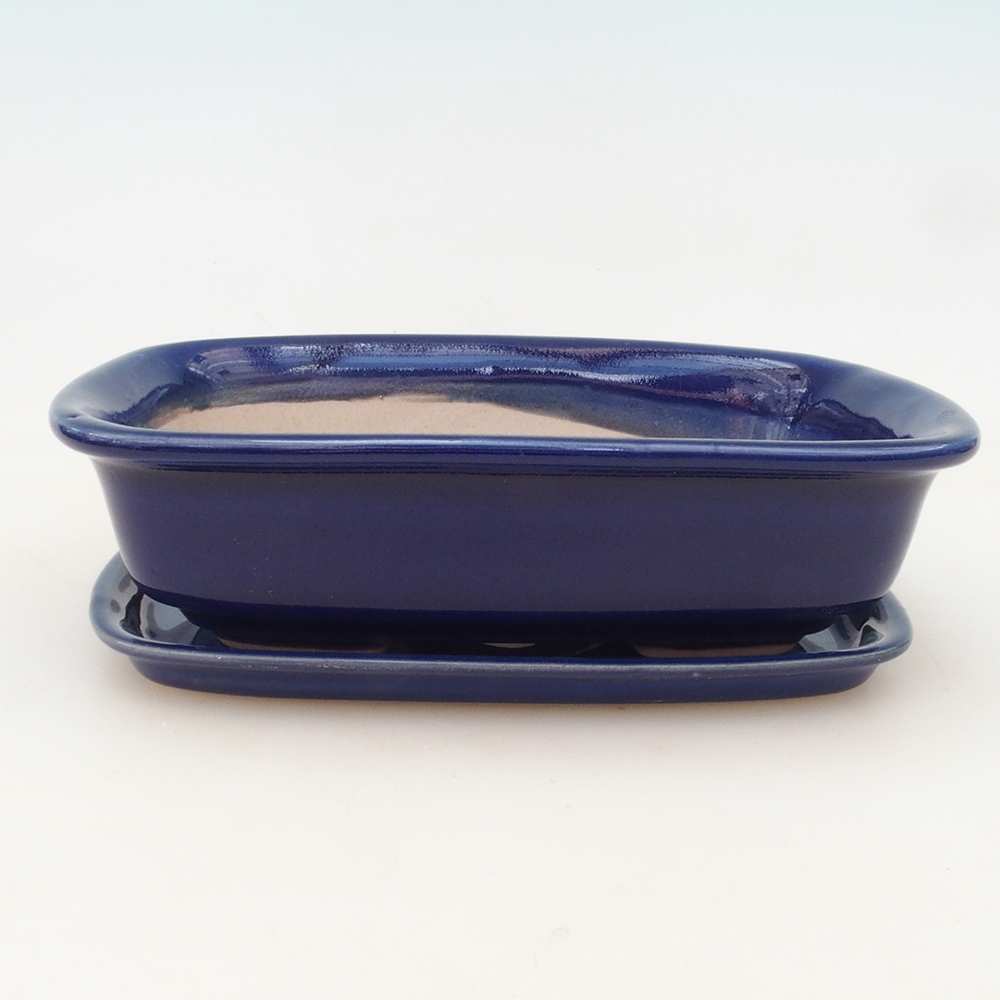 Bol Bonsaï + soucoupe H02 - 19x13x5 cm