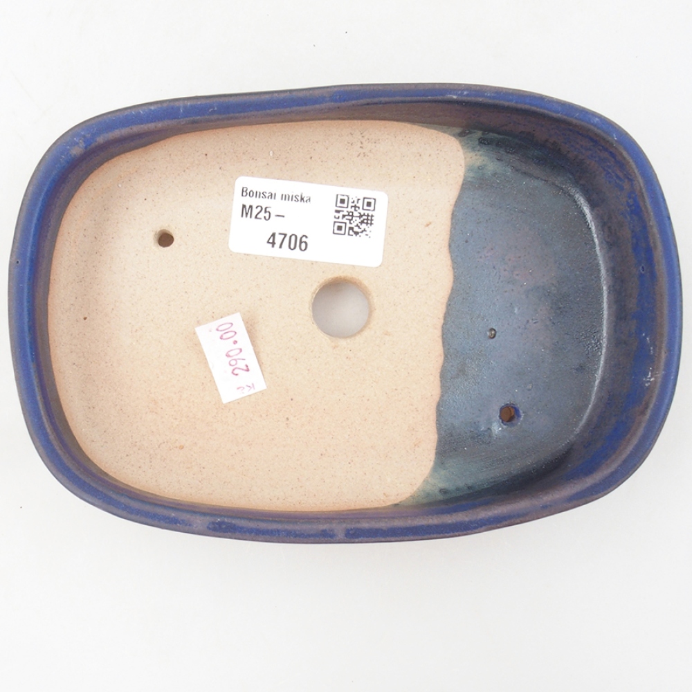 Bol à bonsaï en céramique 16 x 11 x 3,5 cm, couleur bleu