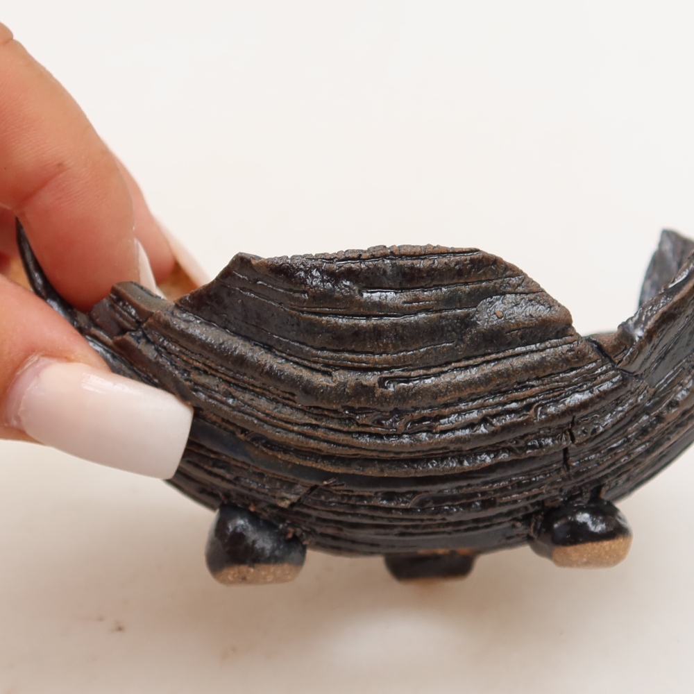 Coquille en céramique  11 x 8,5 x 6,5 cm, couleur noir-vert