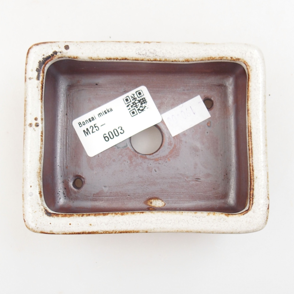 Bol à bonsaï en céramique 22 x 17 x 5 cm, vert