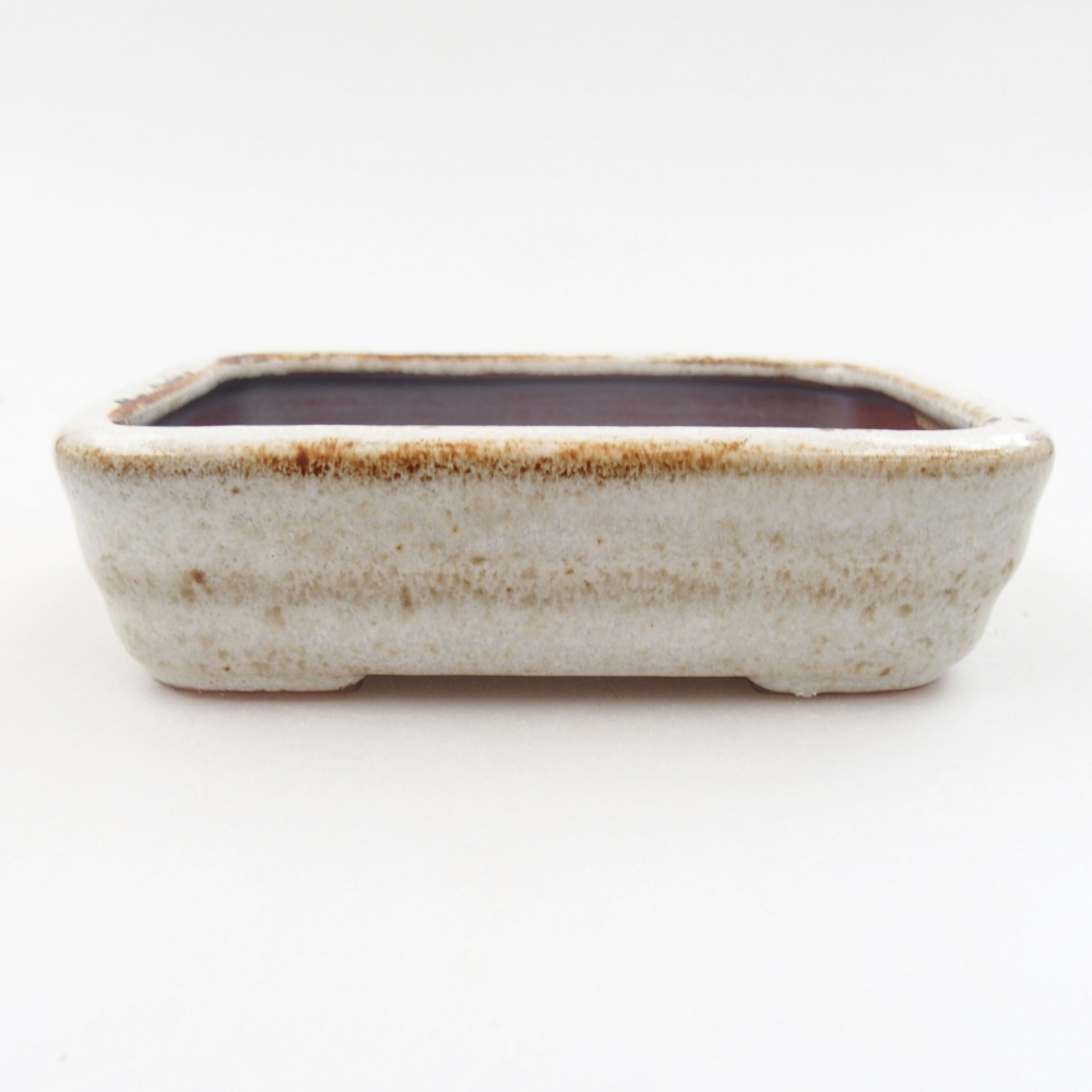 Bol à bonsaï en céramique 22 x 17 x 5 cm, vert