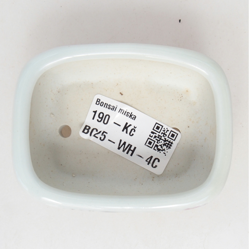 Mini bol bonsaï 8 x 6 x 3 cm, blanc