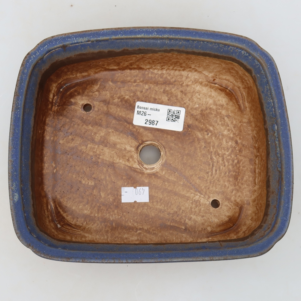 Pot à bonsaï en céramique 20 x 17,5 x 6 cm, couleur bleue