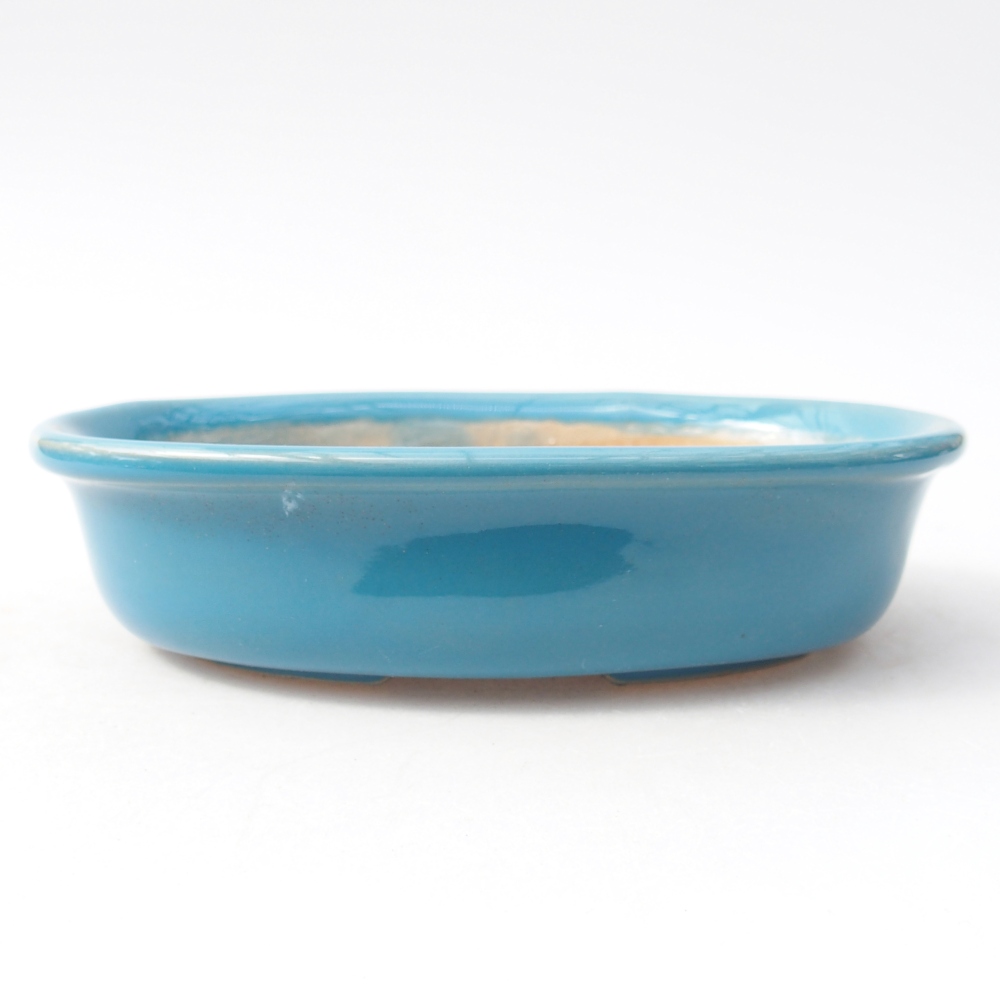 Bol à bonsaï en céramique 14,5 x 10,5 x 3,5 cm, couleur bleu