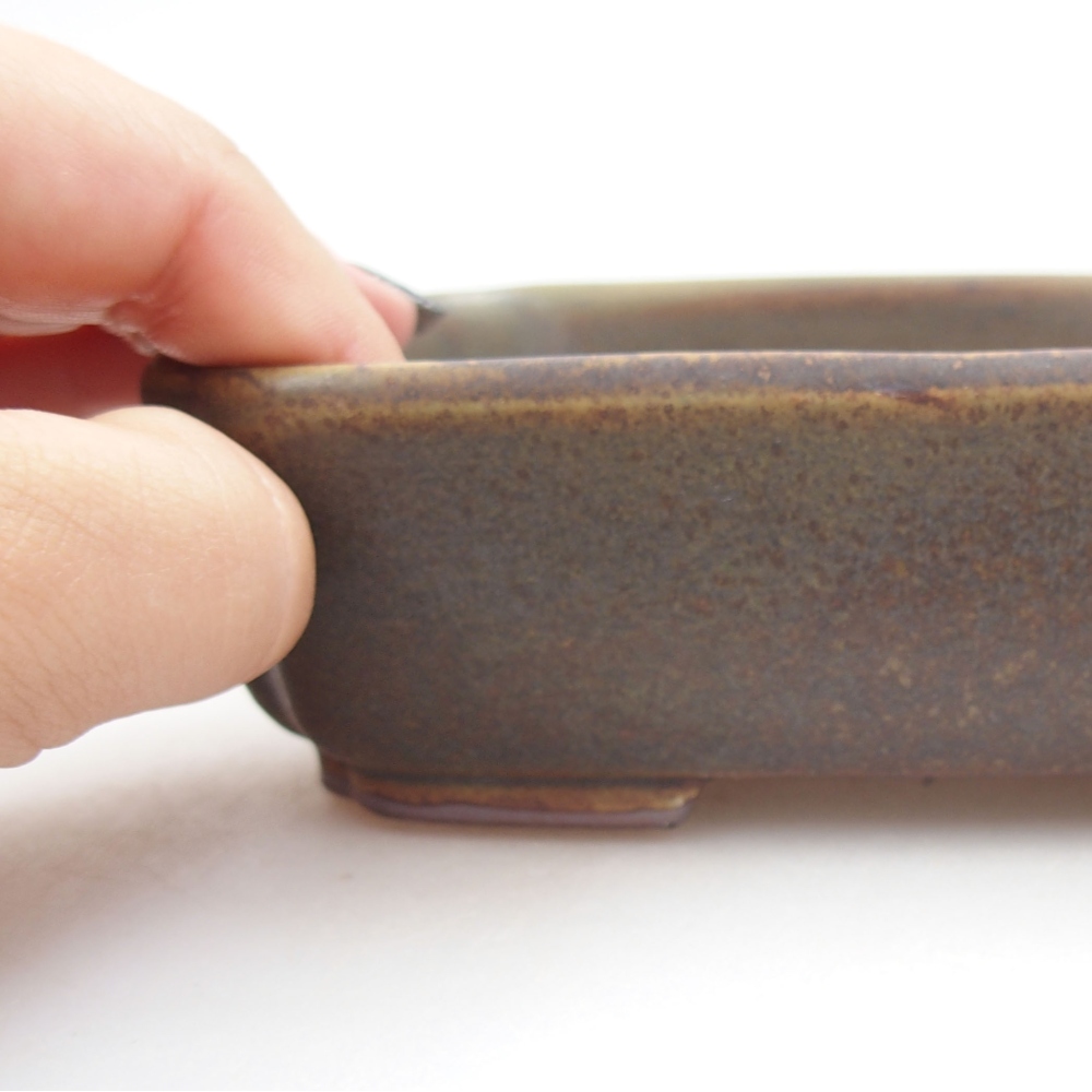 Bol à bonsaï en céramique 22 x 17 x 5 cm, vert