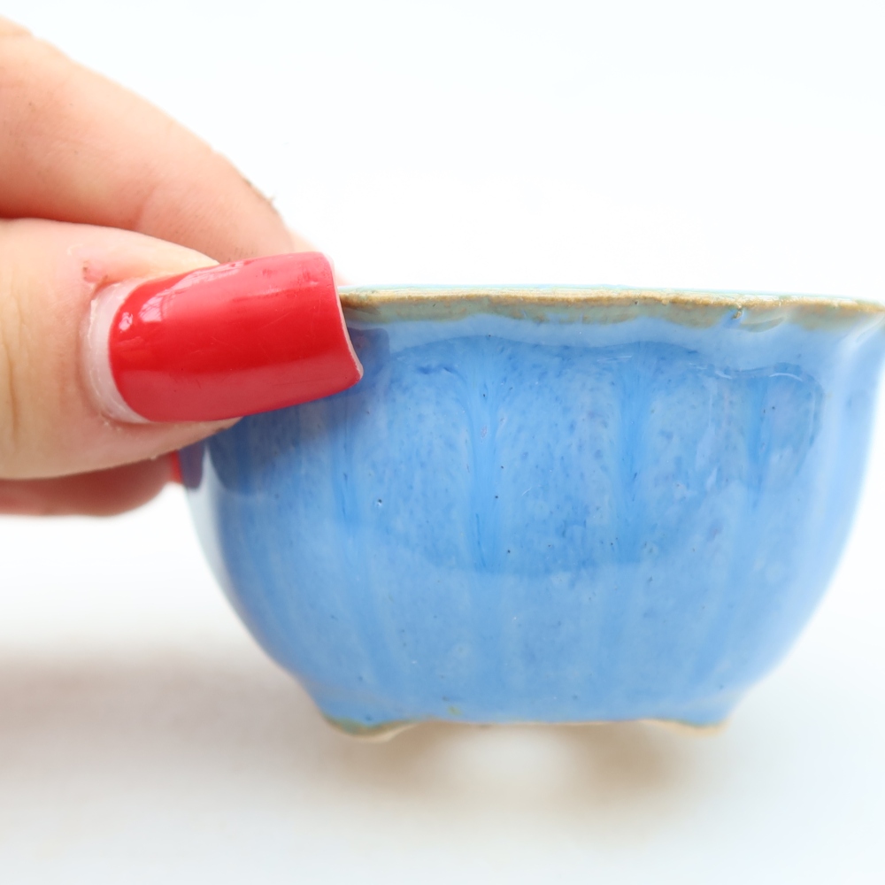 Pot à bonsaï en céramique 7 x 7 x 4 cm, couleur bleue