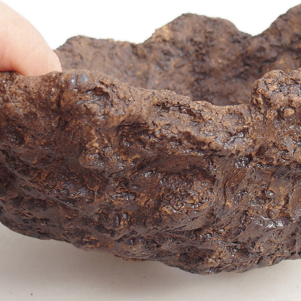 Coquille en céramique 19 x 15 x 14 cm , couleur marron