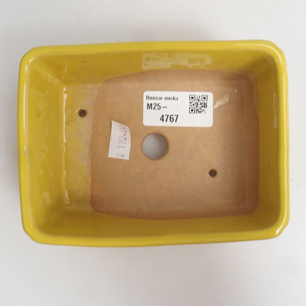 Bol à bonsaï en céramique 13 x 10 x 5 cm, jaune