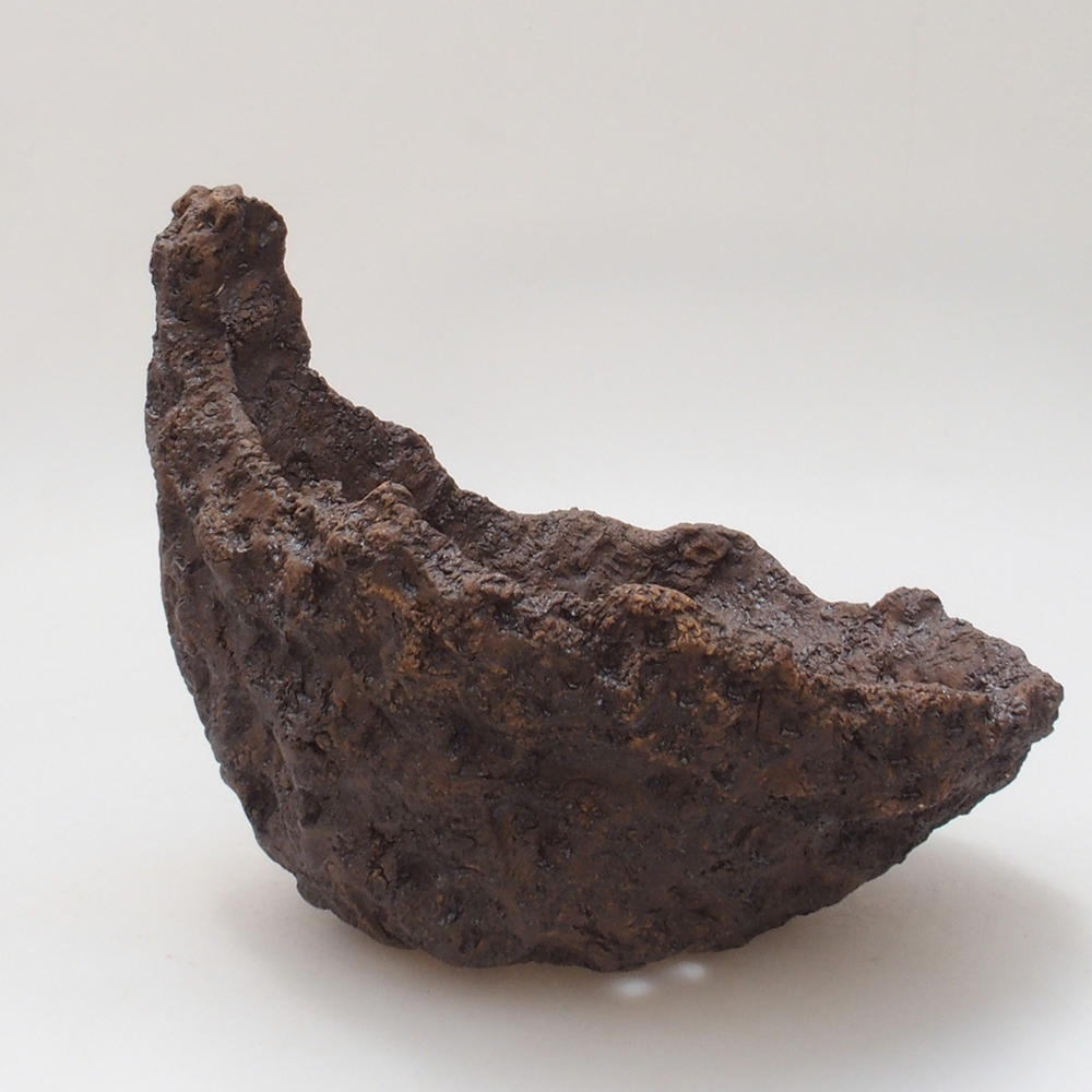 Coquille en céramique 18 x 17 x 17,5 cm , couleur marron