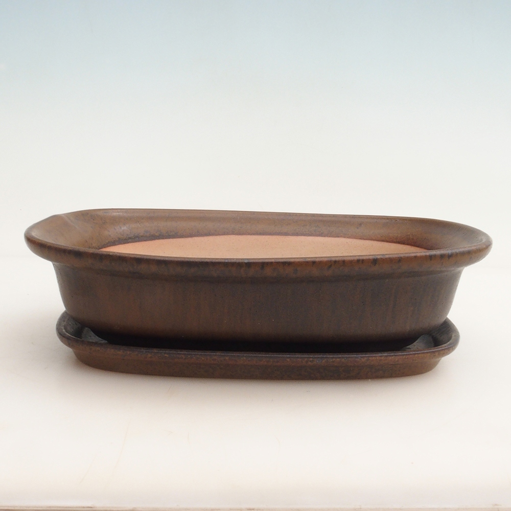 Bol Bonsaï + soucoupe H25 - 23 x 17 x 5,5 cm - marron