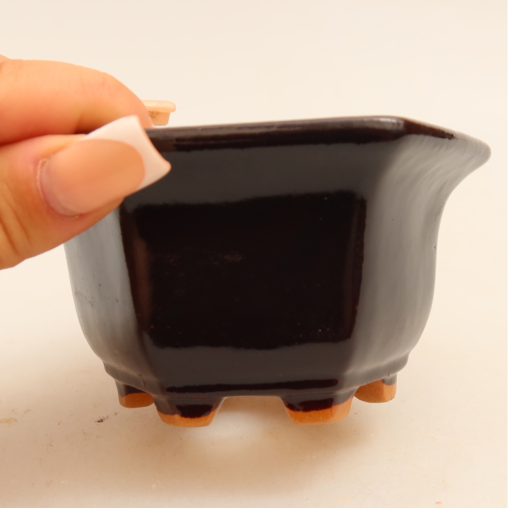 Pot à bonsaï en céramique 10,5 x 9,5 x 5,5 cm, couleur noire