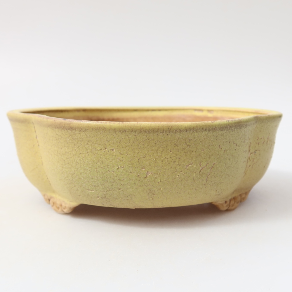 Pot à bonsaï en céramique 17,5 x 15,5 x 5,5 cm, couleur jaune