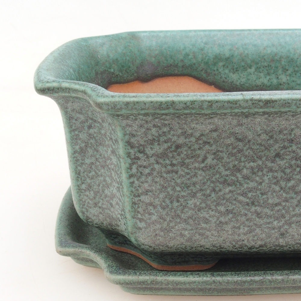 Bol Bonsaï + soucoupe H01 - vert