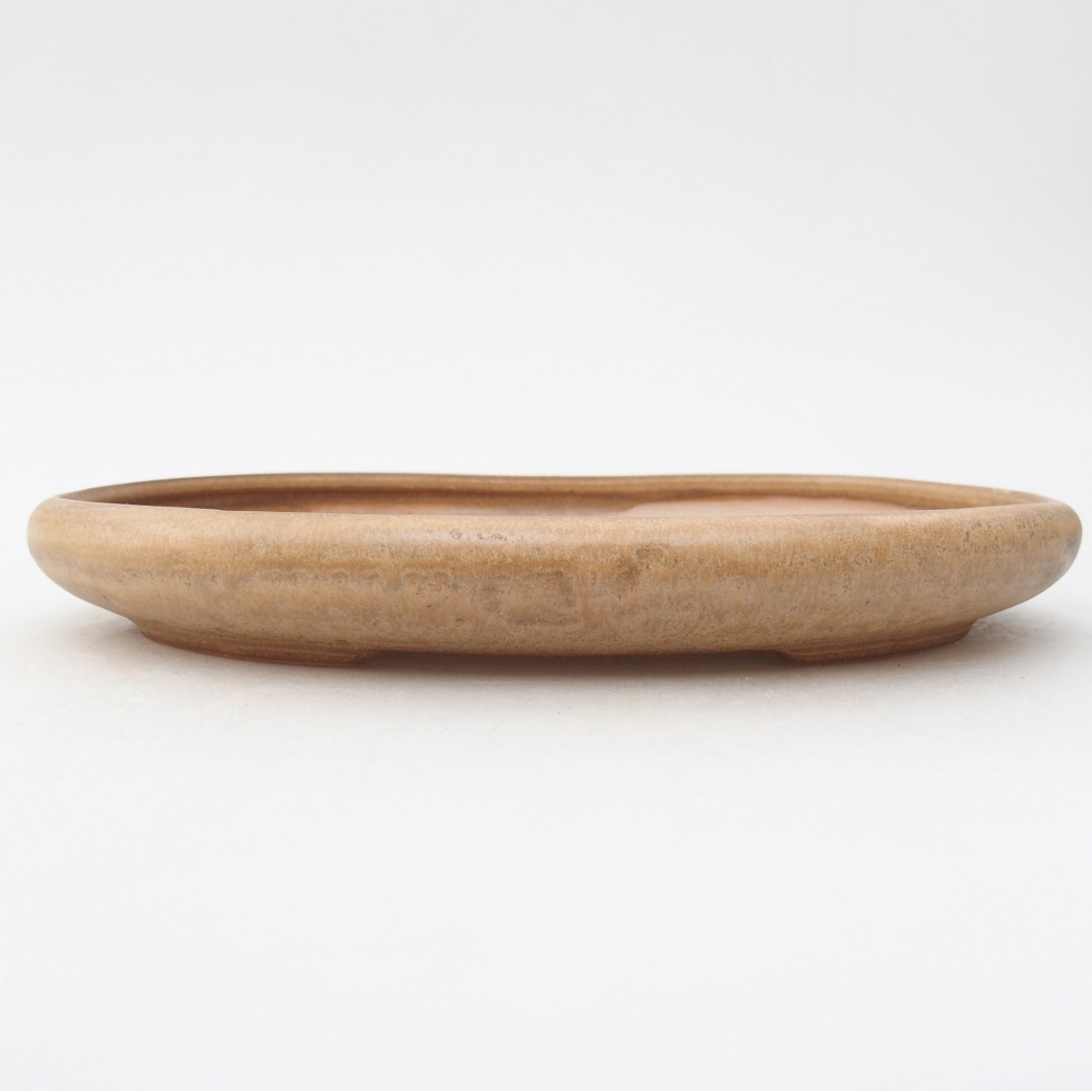 Bol à bonsaï en céramique 22,5 x 16,5 x 3 cm, couleur beige
