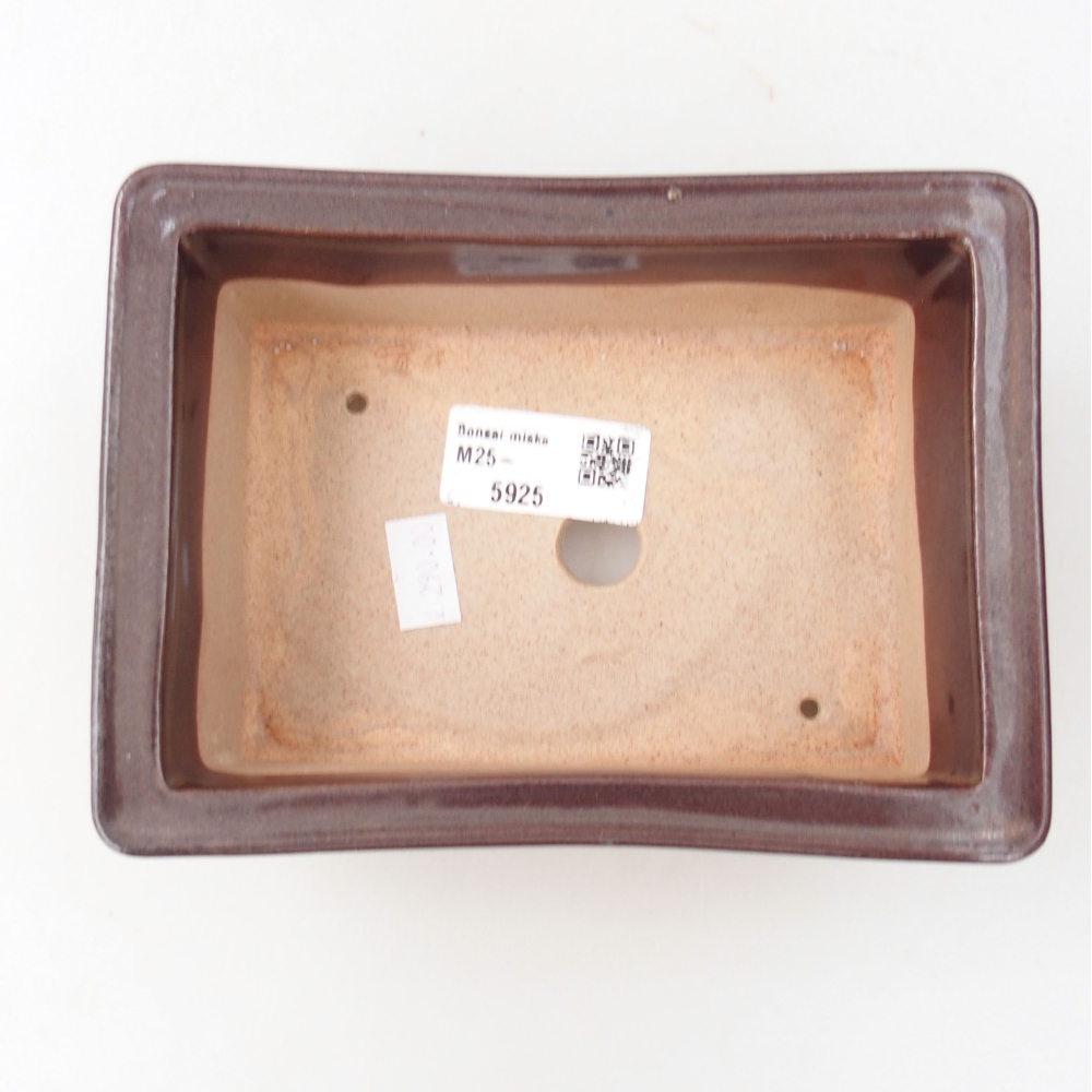 Bol à bonsaï en céramique 22 x 17 x 5 cm, vert