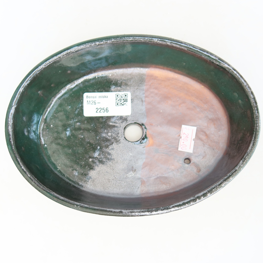 Pot à bonsaï en céramique 18,5 x 13,5 x 4,5 cm, couleur verte