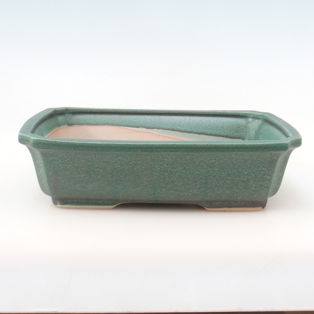 Bol à bonsaï H07 - 30 x 20,5 x 8 cm.