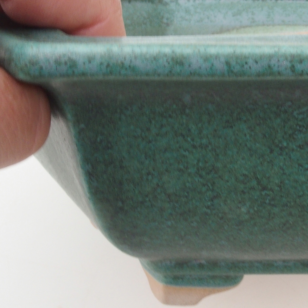 Coupe bonsaï H53 - 19 x 21,5 x 7 cm - vert