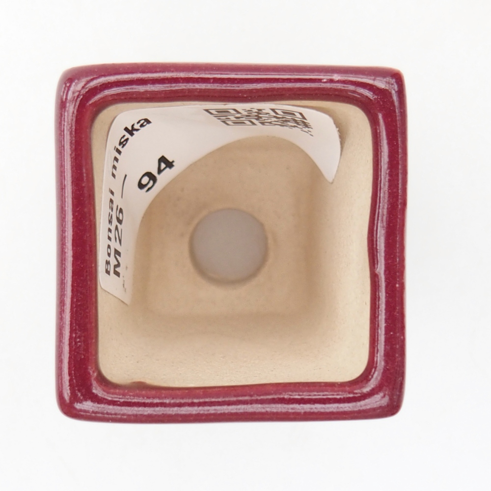 Mini bol bonsaï 3,5 x 3,5 x 5 cm, couleur bordeaux