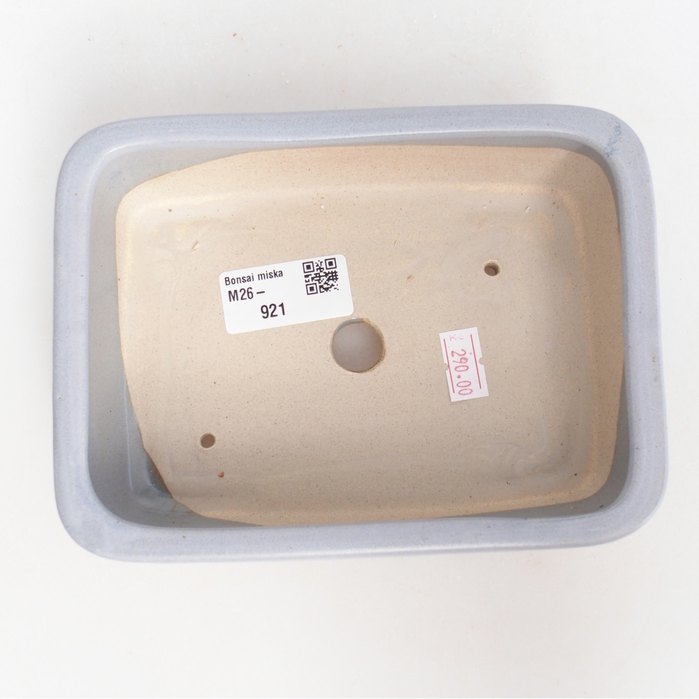 Bol à bonsaï en céramique 16,5 x 12 x 5,5 cm, couleur bleu