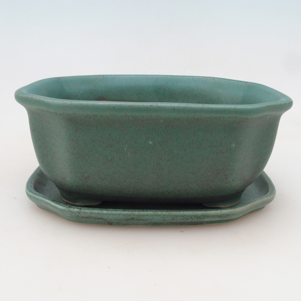 Bol Bonsaï + soucoupe H32 - 13x10x5,5 cm