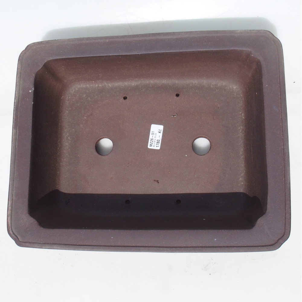 Bol bonsaï 42 x 33 x 10 cm - brun