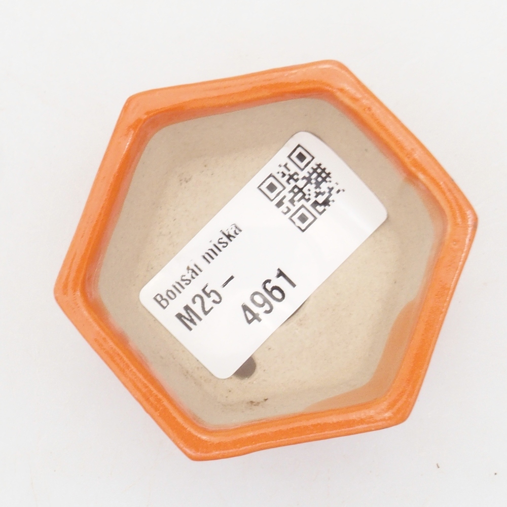 Mini bol bonsaï 6 x 5 x 2,5 cm, orange