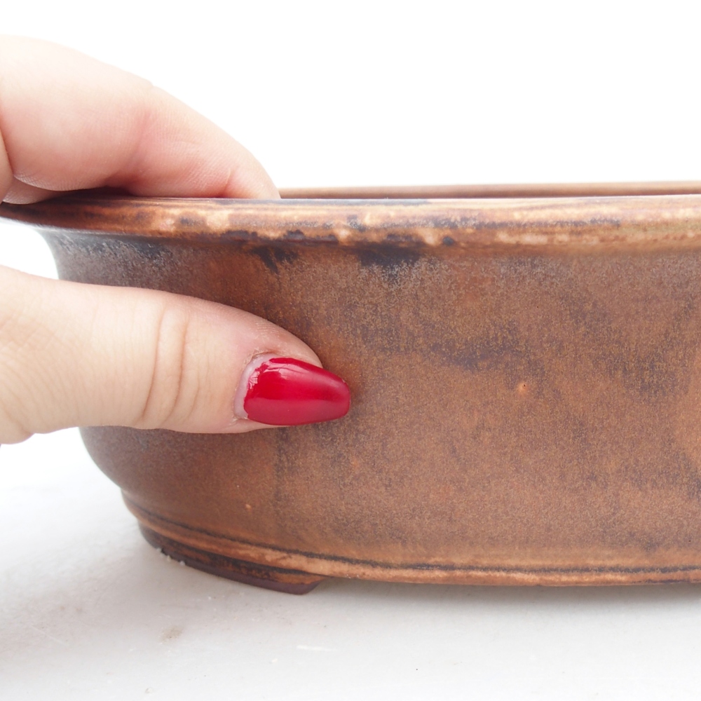 Bol à bonsaï en céramique 23 x 19 x 7 cm, rose