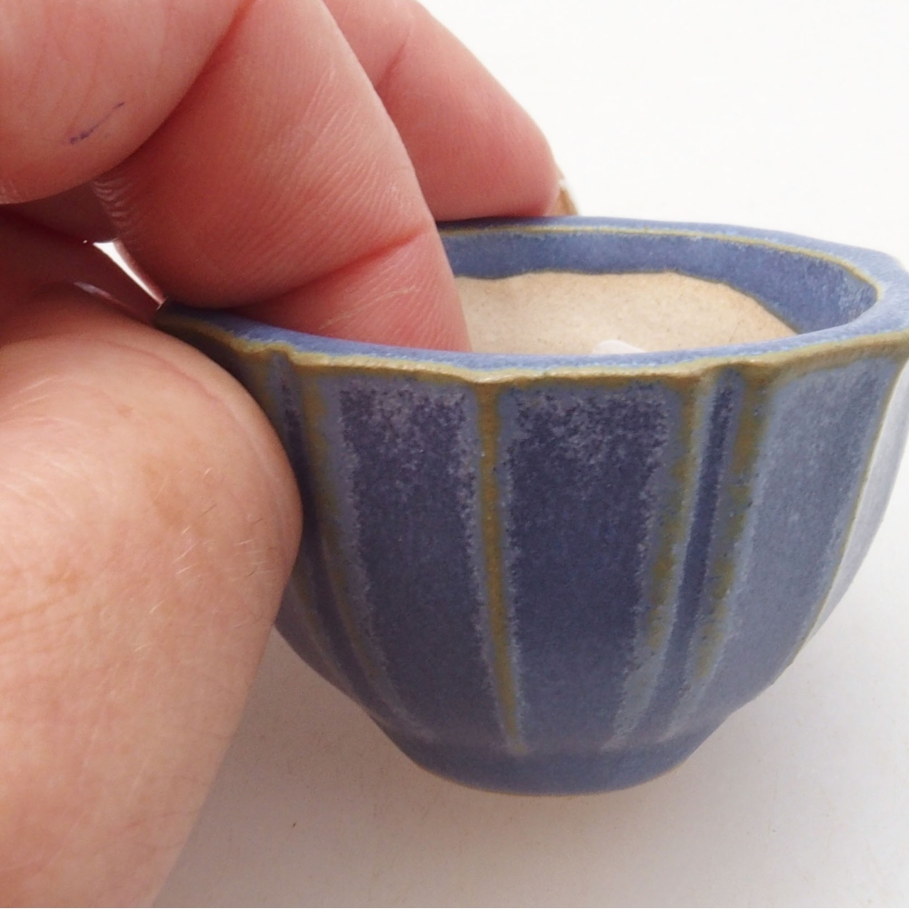 Mini bol bonsaï 5 x 5 x 3 cm, bleu