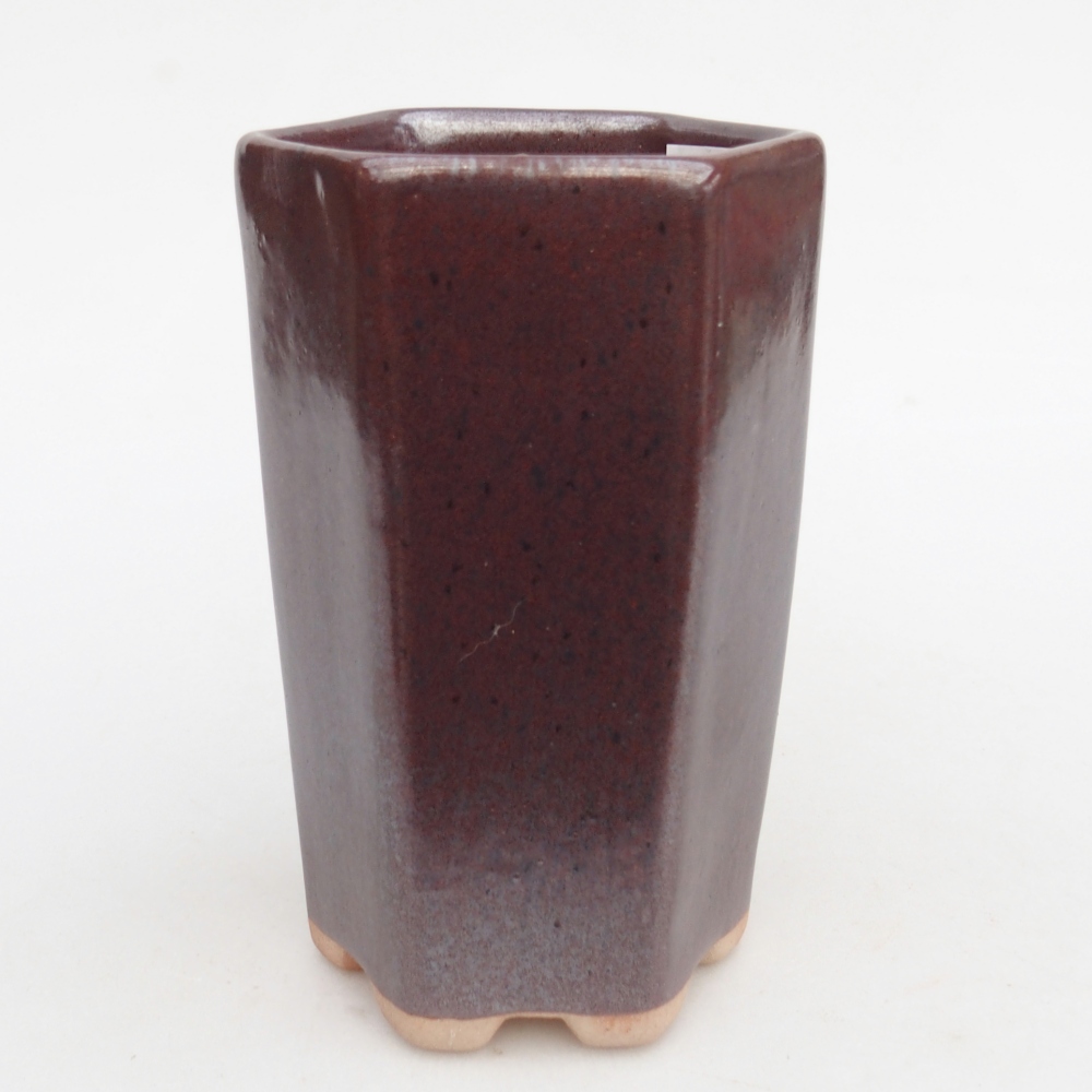 Bol à bonsaï en céramique 10 x 8,5 x 14,5 cm, bordeaux
