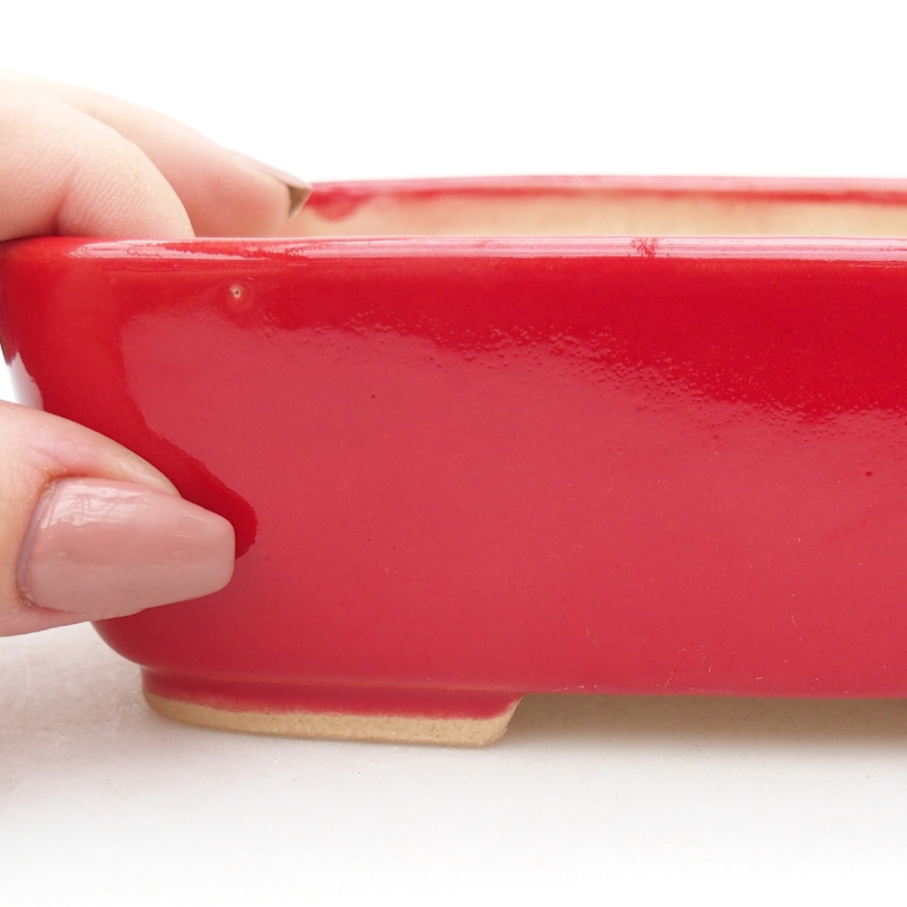 Bol à bonsaï en céramique 15 x 12 x 4,5 cm, couleur rouge