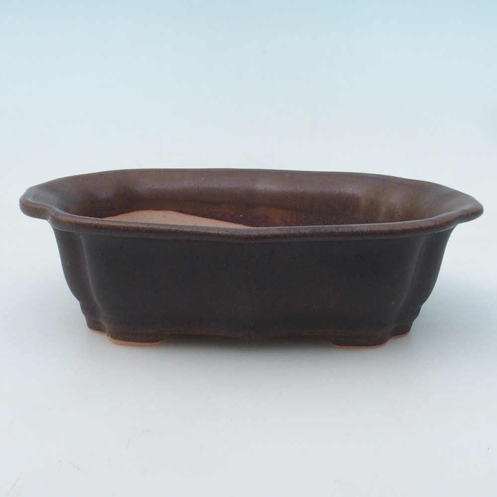 Bol à bonsaï H51 - 18 x 14 x 5 cm - brun