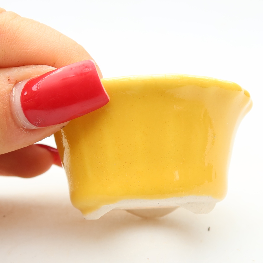 Bol à bonsaï en céramique 5,5 x 5,5 x 3 cm, jaune