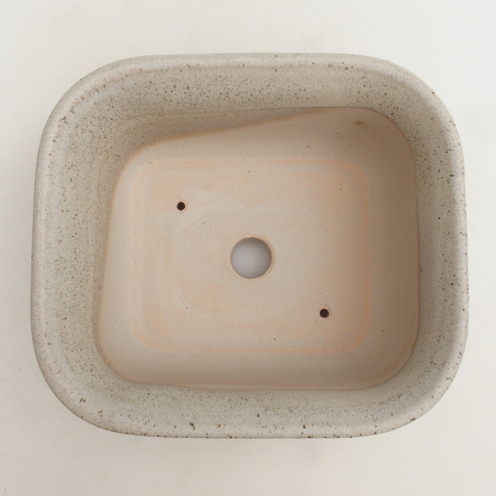 Coupe bonsaï H36 - 17 x 15 x 7,5 cm - beige
