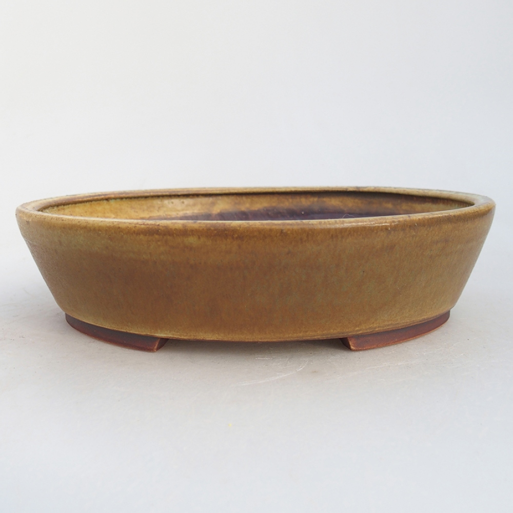 Bol à bonsaï en céramique 18,5 x 16,5 x 4 cm, vert