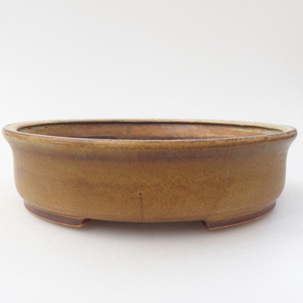 Bol à bonsaï en céramique 17,5 x 16 x 4,5 cm, vert