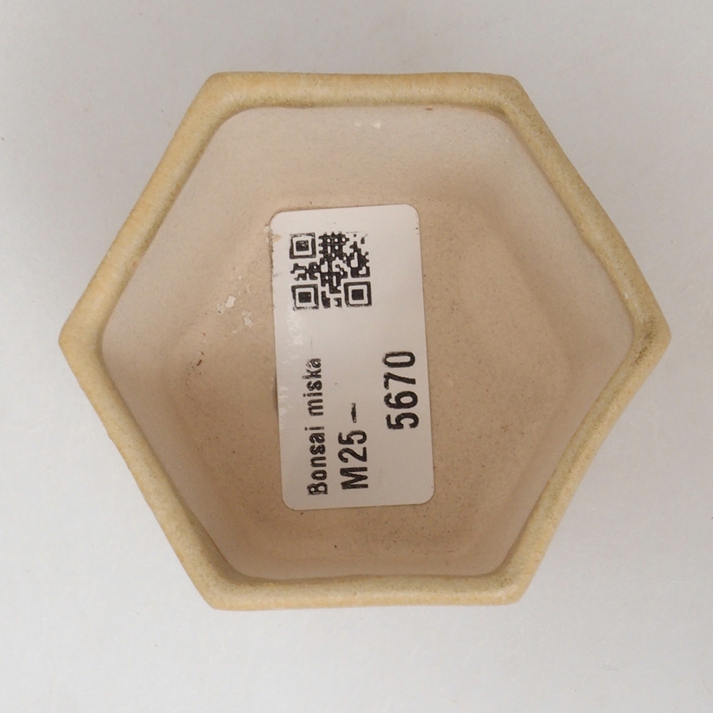 Mini bol bonsaï 7 x 5,5 x 4,5 cm, brun