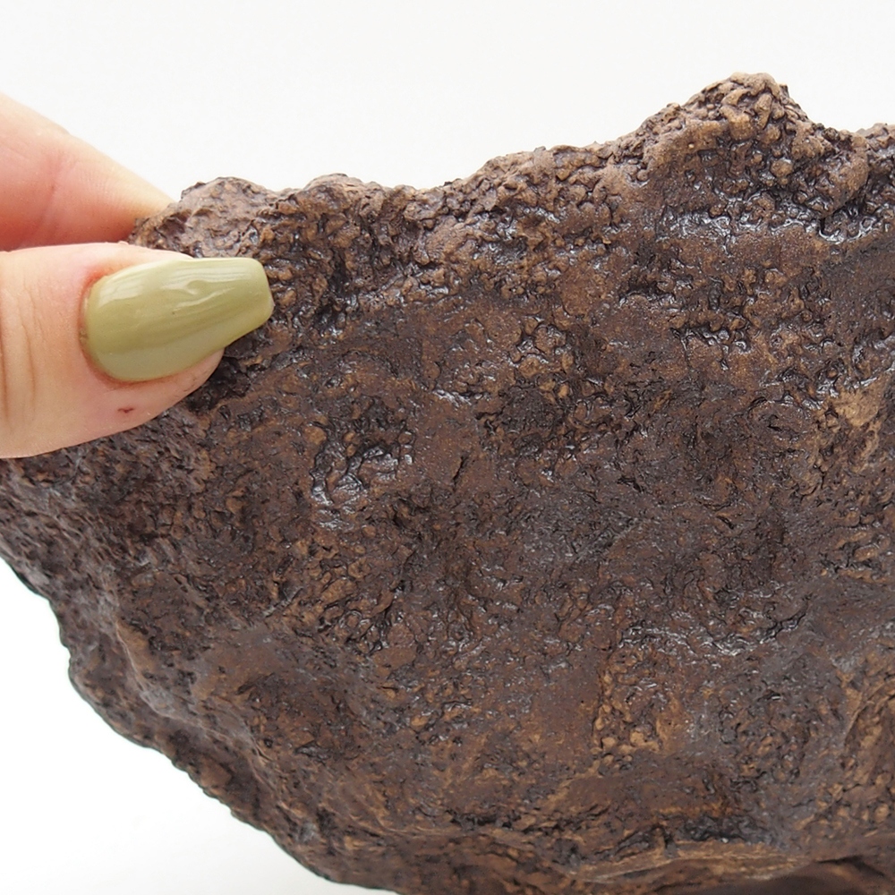 Coquille en céramique 18 x 17,5 x 16 cm , couleur marron