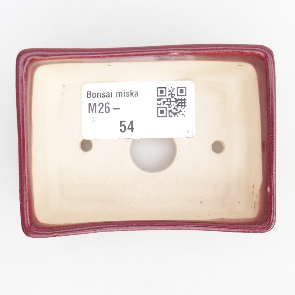 Mini bol bonsaï 8 x 6 x 2,5 cm, bordeaux