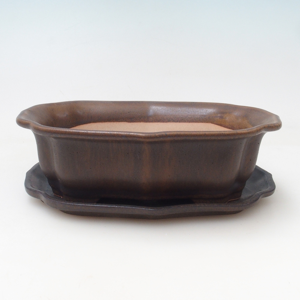 Bol Bonsaï + soucoupe H51 - 18x14x5 cm